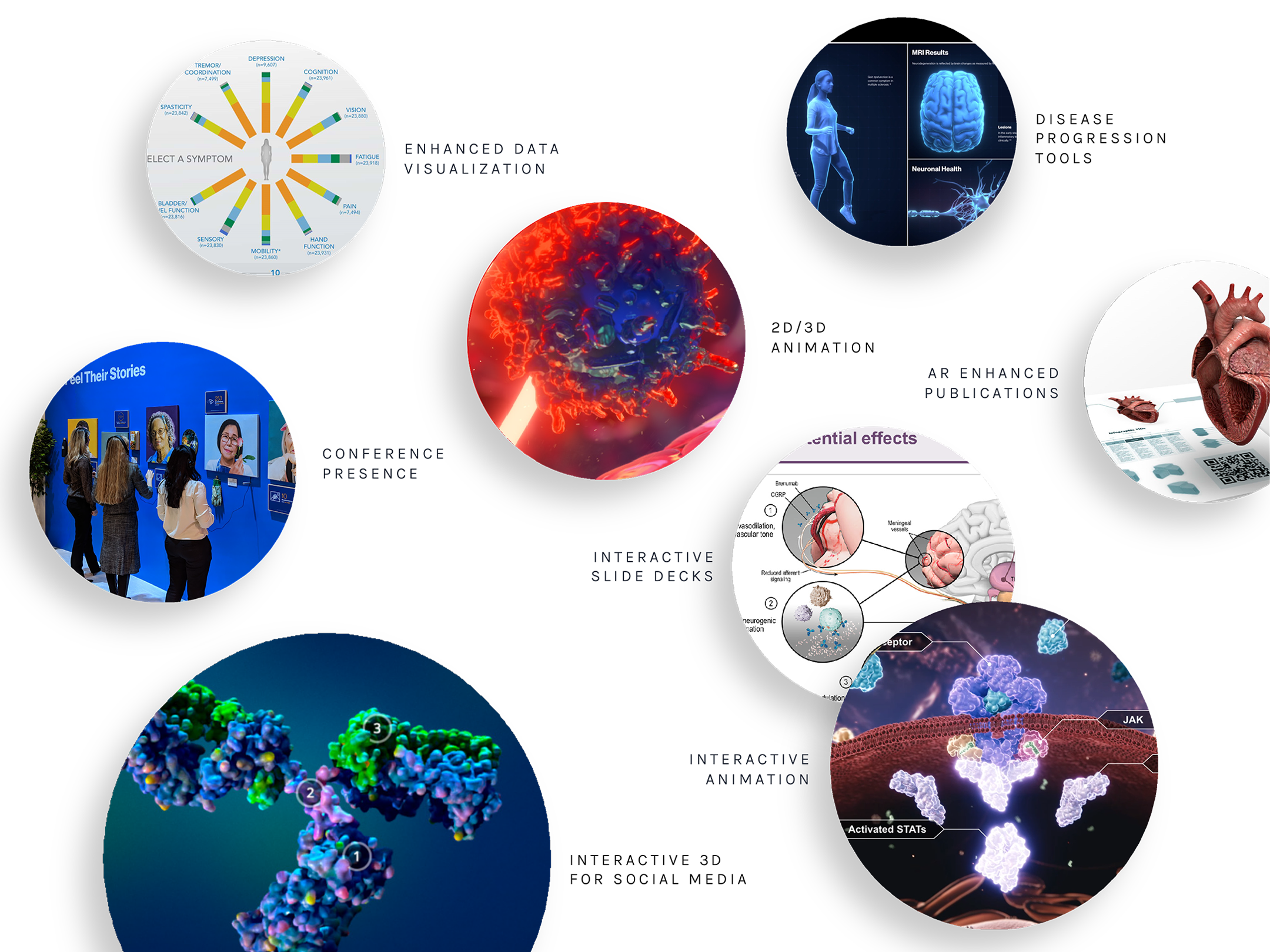 Image showing the different types of work we can create in circles, including: conference presence, interactive slide decks, interactive animation, disease progression tools, and more.
