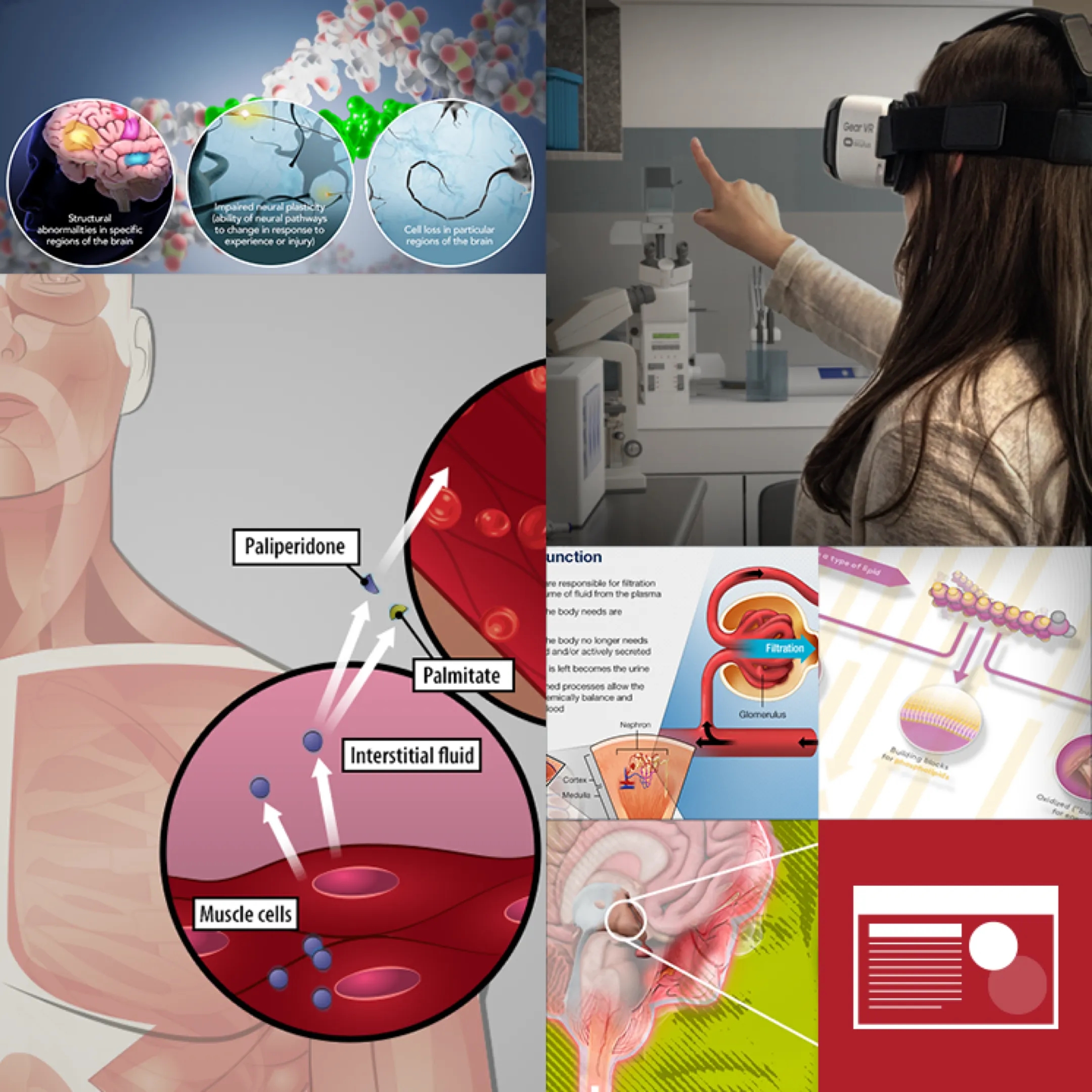 Collaged image of various digital learning tools and animations. A woman uses VR. 