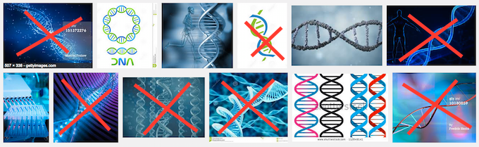 Google Search of DNA images, with more than half crossed out with a big red X.