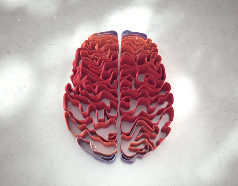 Red Nucleius Advisory | Red Nucleus