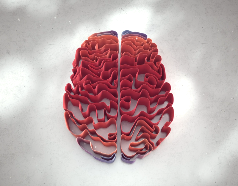 Ribbons forming the contours of a brain, from above against a grey stone surface. From a 3D animation. 