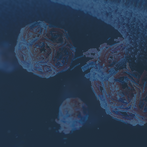 3D animated still of vesicles, the transportation system of the cell. 