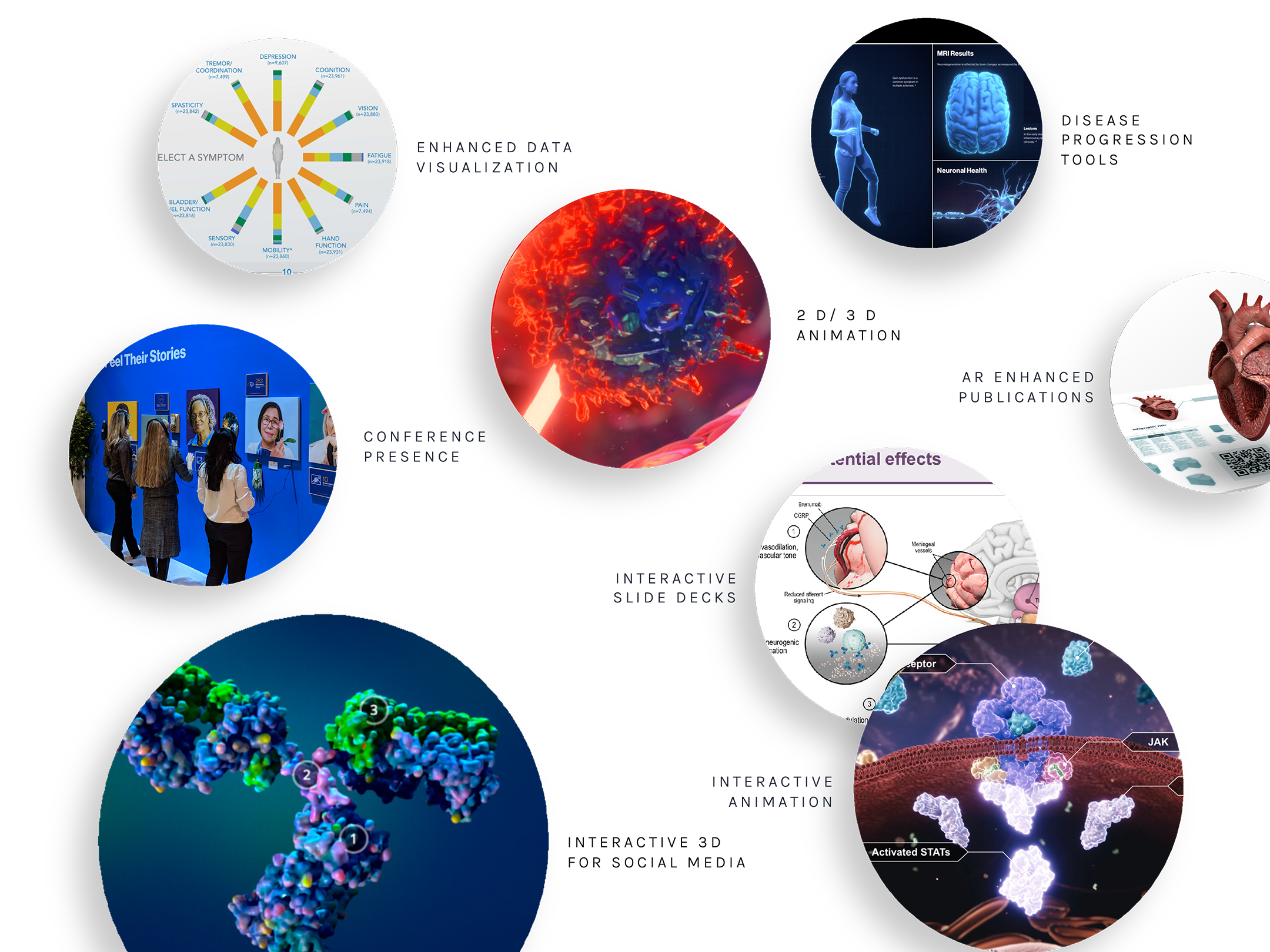 Image showing the different types of work we can create in circles, including: conference presence, interactive slide decks, interactive animation, disease progression tools, and more.
