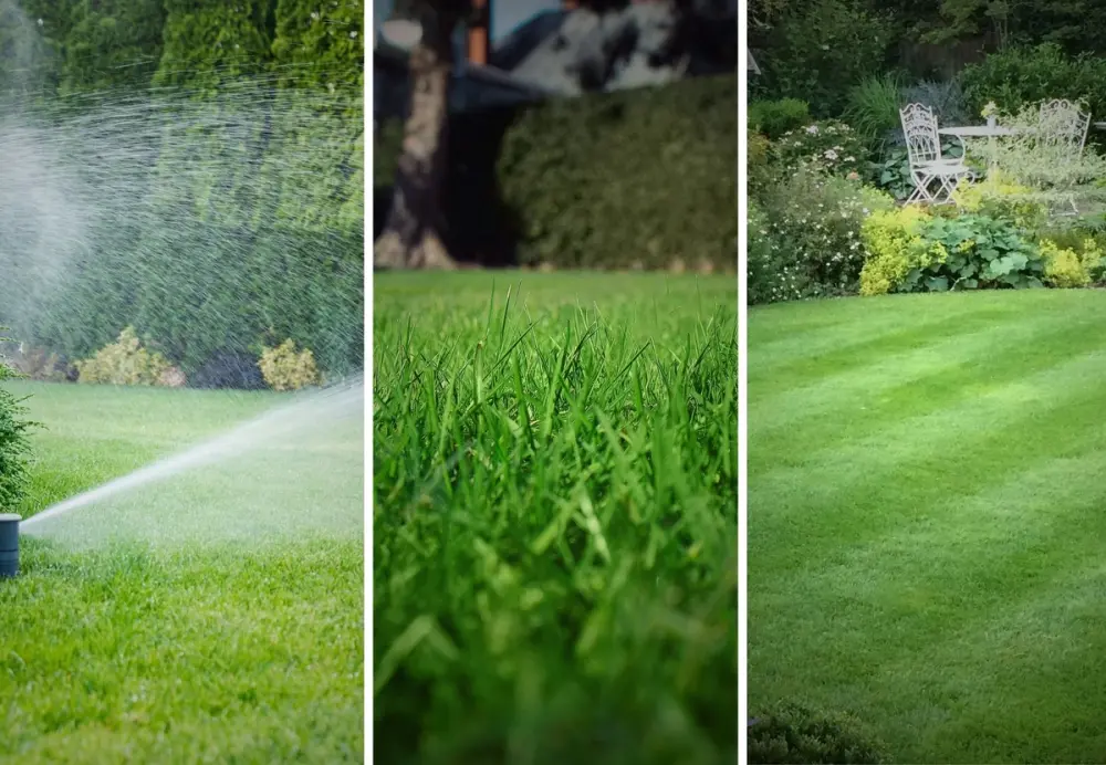 Sprinkler watering grass, close-up of healthy lawn blades, and a neatly striped lawn with a garden table set.