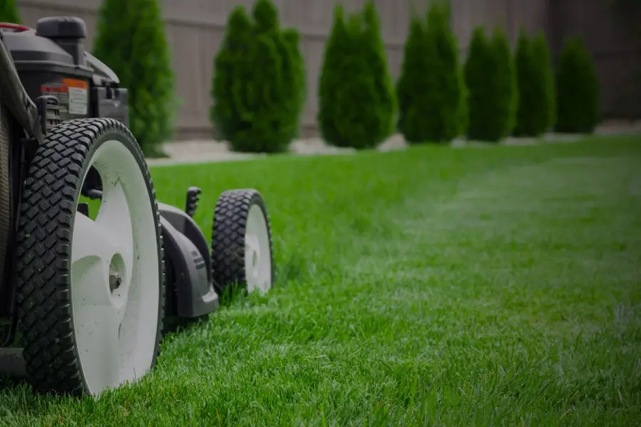 A close-up view of a lawnmower’s wheels on a healthy green lawn, capturing precision mowing during regular lawn maintenance.