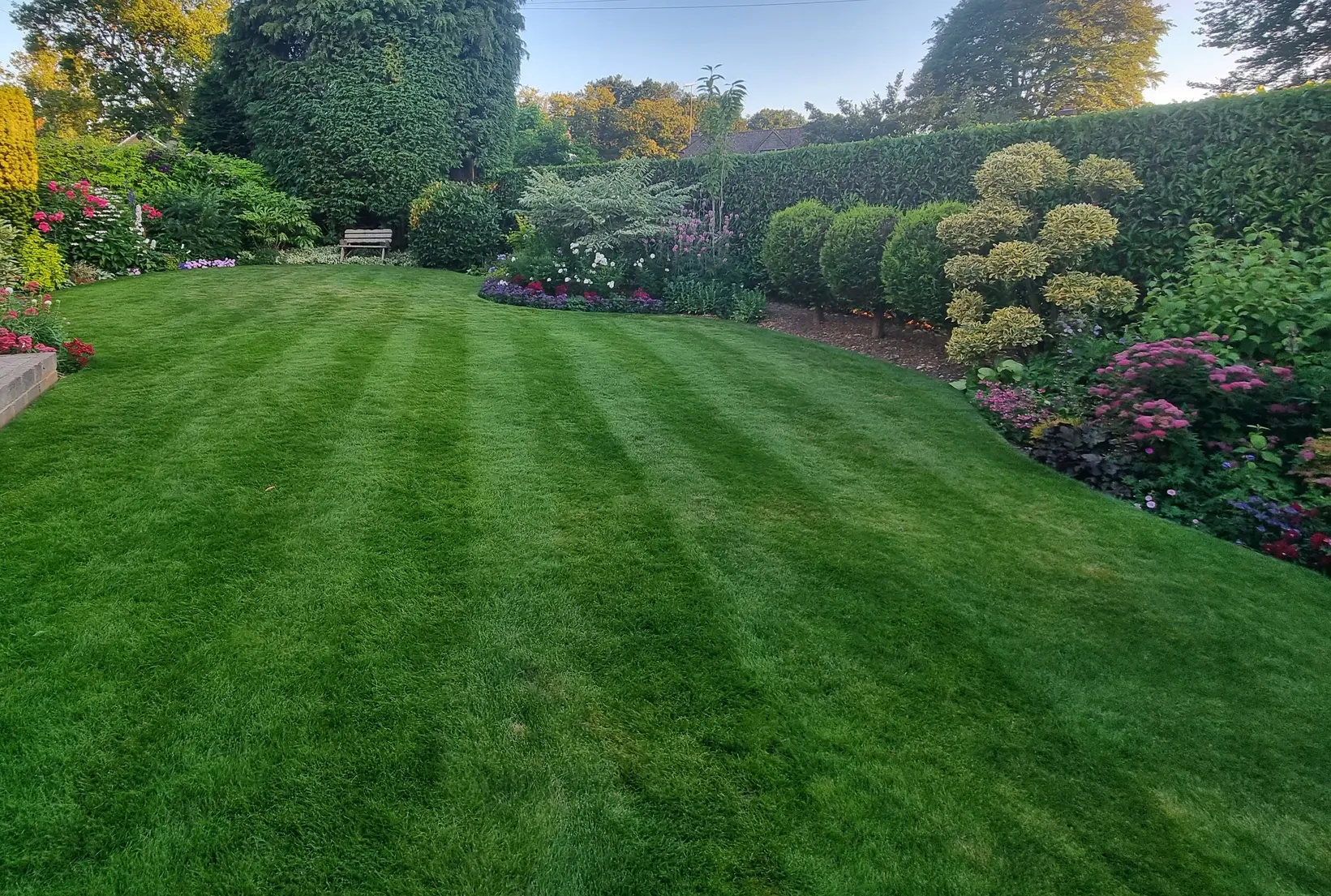Thick, lush grass treated by GreenThumb, surrounded by a border of plants and flowers.