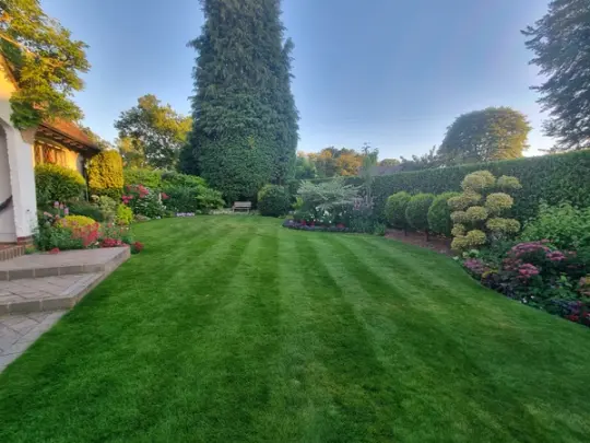 Green spring lawn with fresh grass and blue sky, showing healthy lawn care and spring growth.