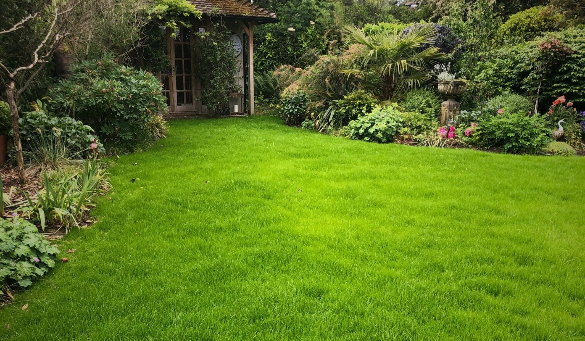 Lush green lawn after GreenThumb Lawn Refresh treatment, showing improved thickness and health.