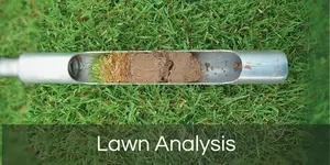 Lawn Analysis 