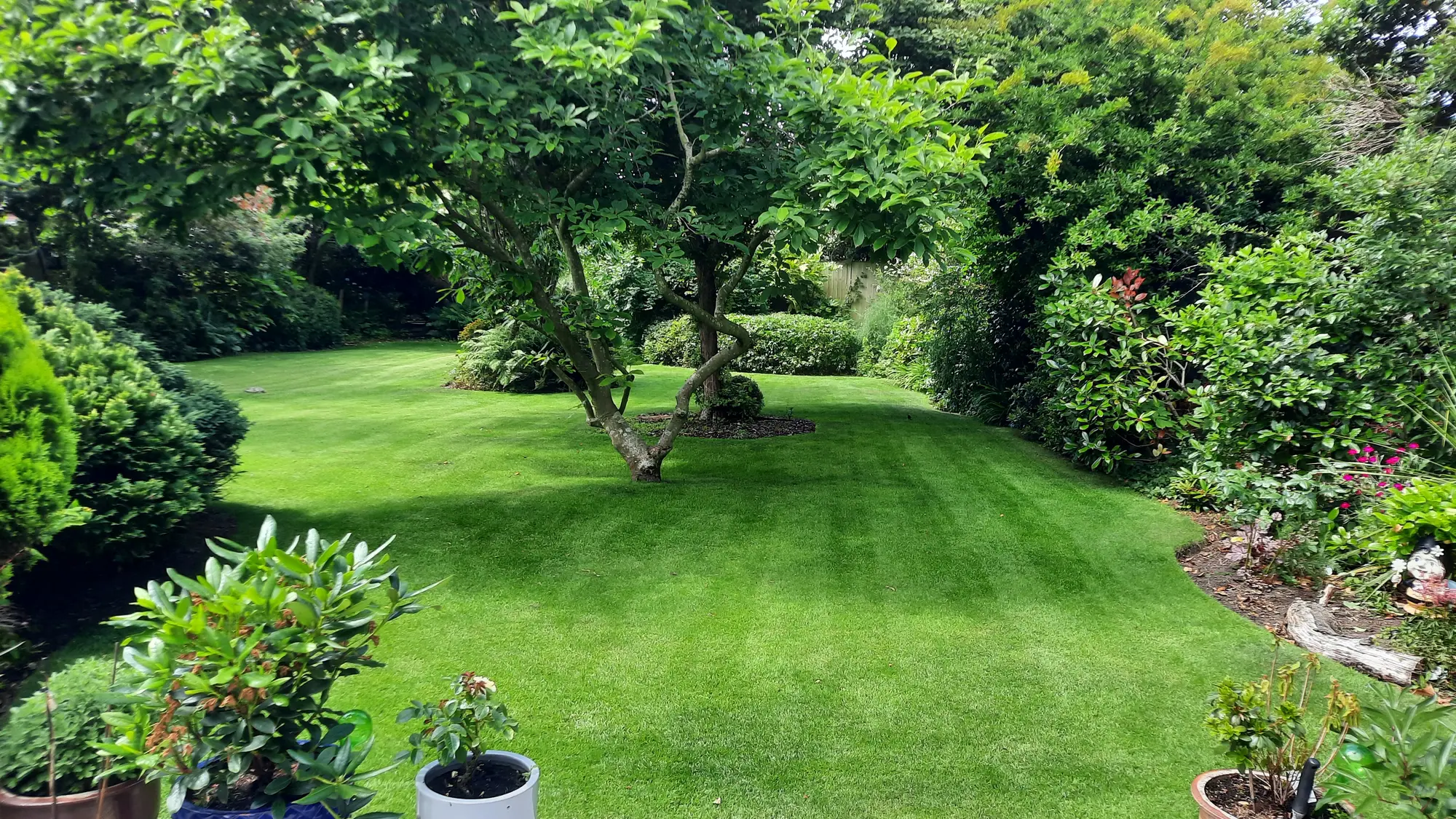 Beautiful green garden lawn maintained through LawnLove Rewards programme benefits