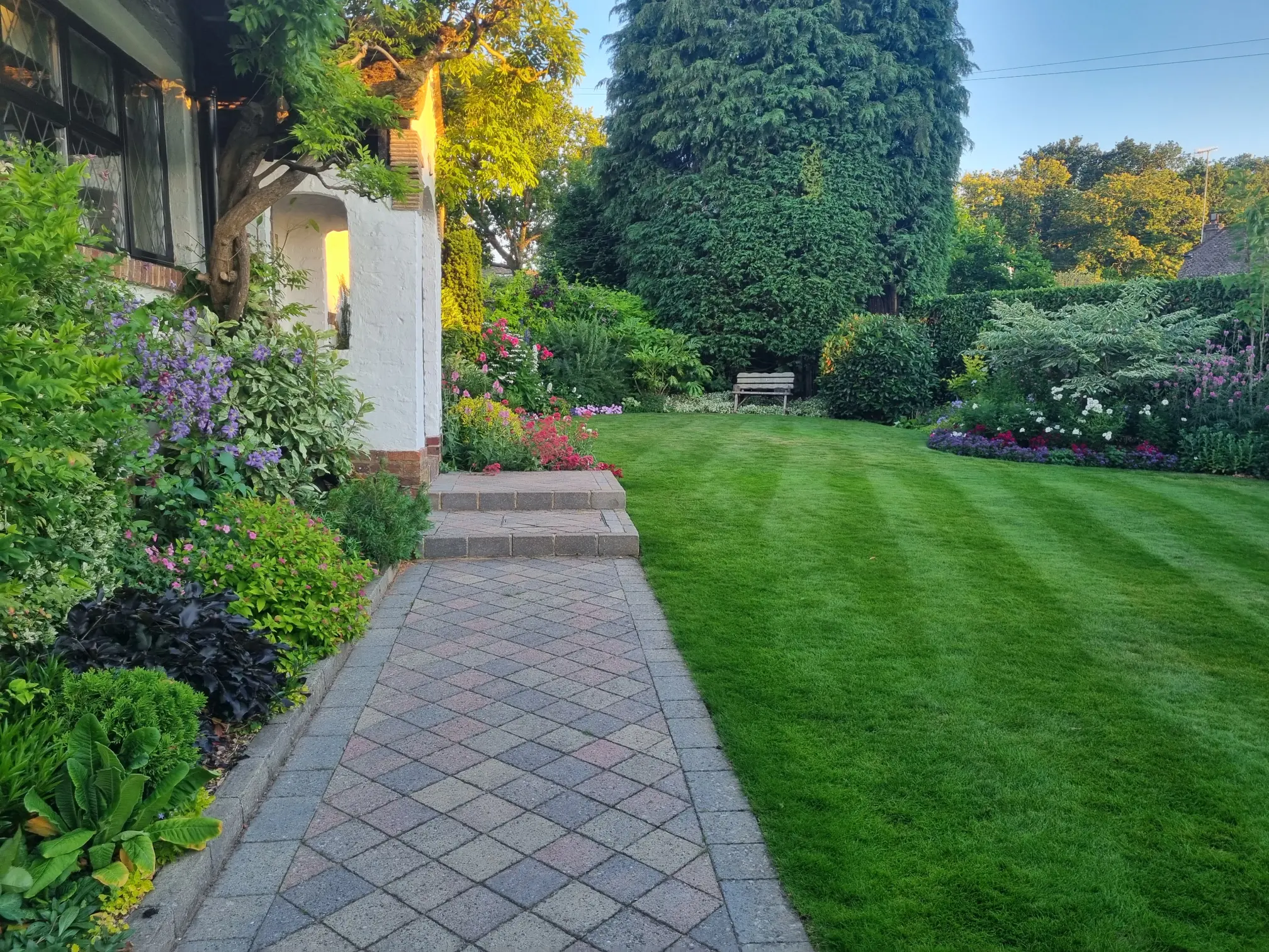 Lush green lawn with a clean hard surface path, surrounded by plants and flowers