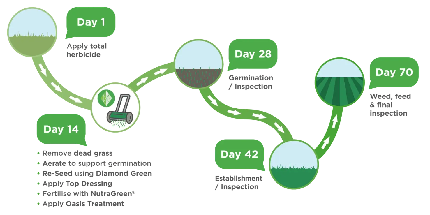 Lawn makeover timeline from Day 1 to Day 70 showing herbicide, aeration, seeding, top dressing, watering, inspections, and ongoing GreenThumb care