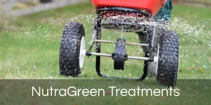 NutraGreen Treatments 