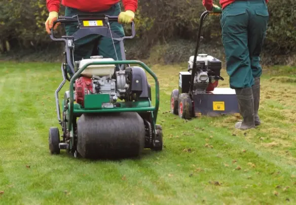 Lawn undergoing aeration and scarification to reduce thatch and improve soil health