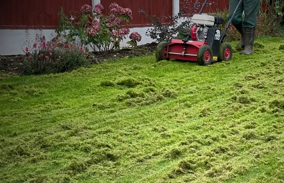 Lawn Scarification Services | Book a consultation today