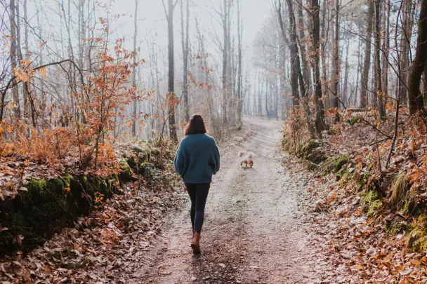 Person walking through a scenic winter landscape with bare trees, and crisp, frosty air.