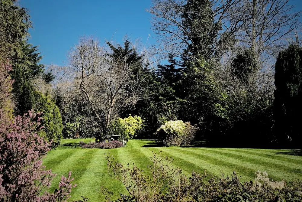 A neatly striped lawn surrounded by trees and spring shrubs under a blue sky