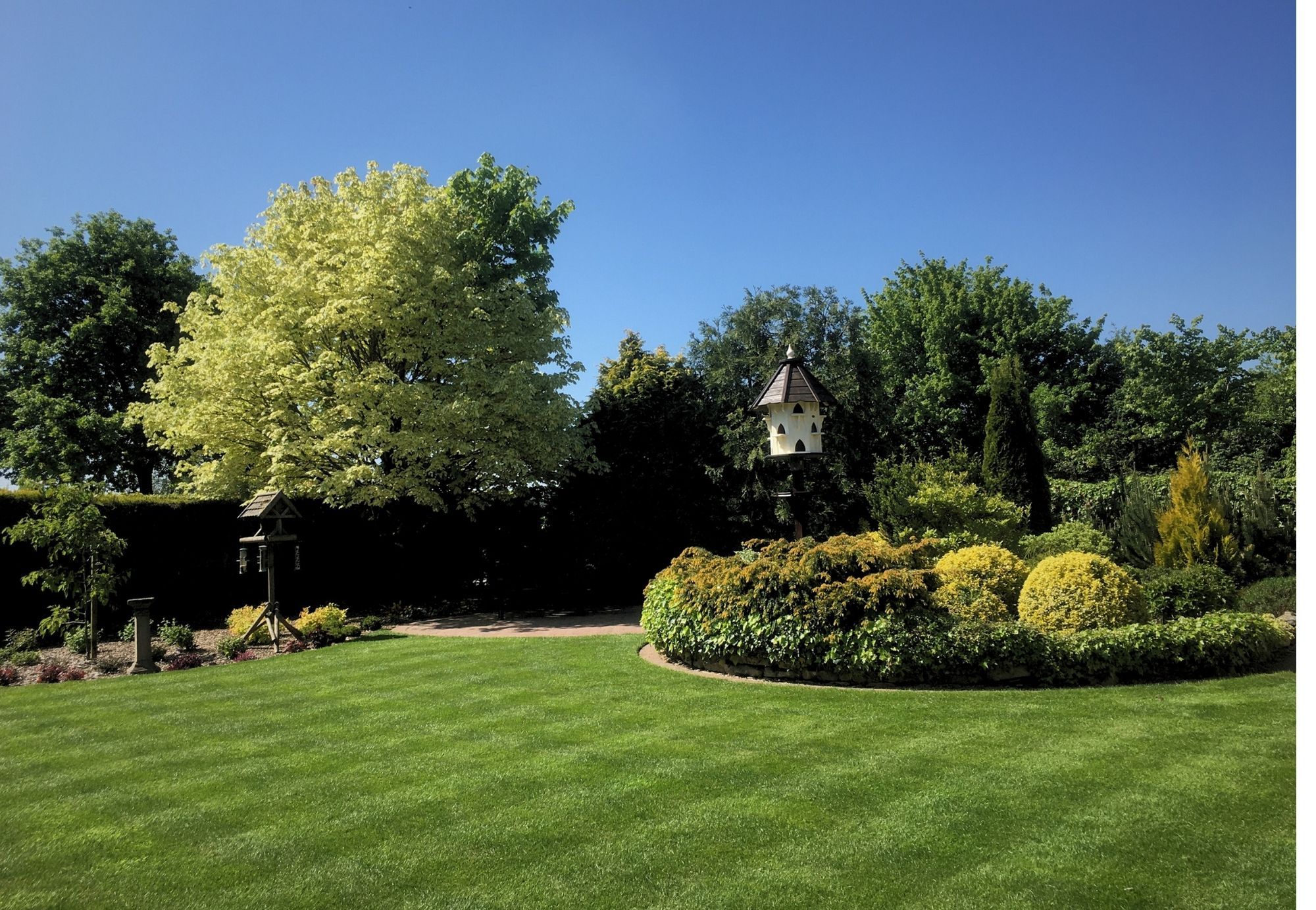 Beautifully striped lawn in a landscaped garden with shrubs and summerhouse