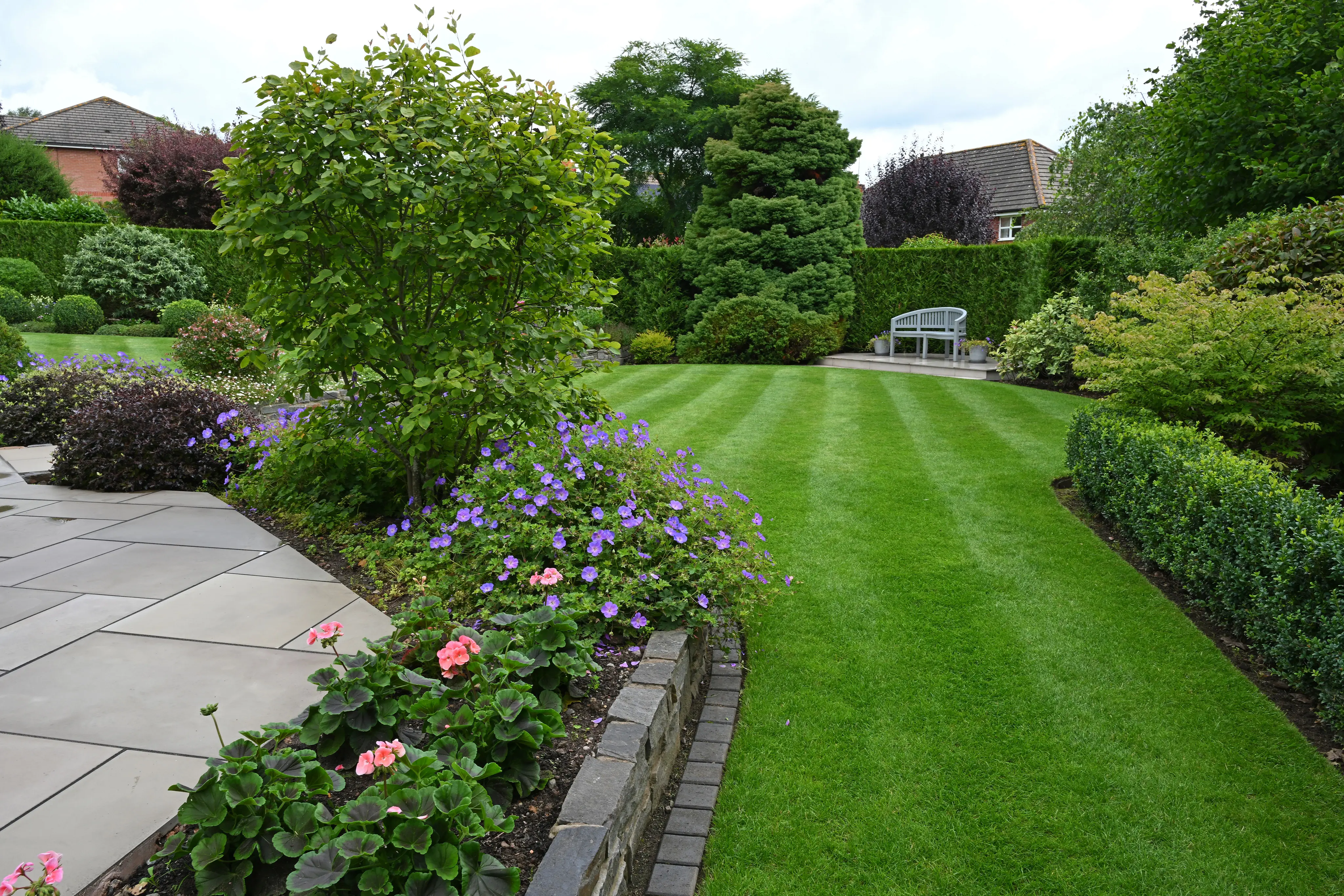Picture of a lush green lawn with stripes, a clean patio, surrounded by flowers and shrubs