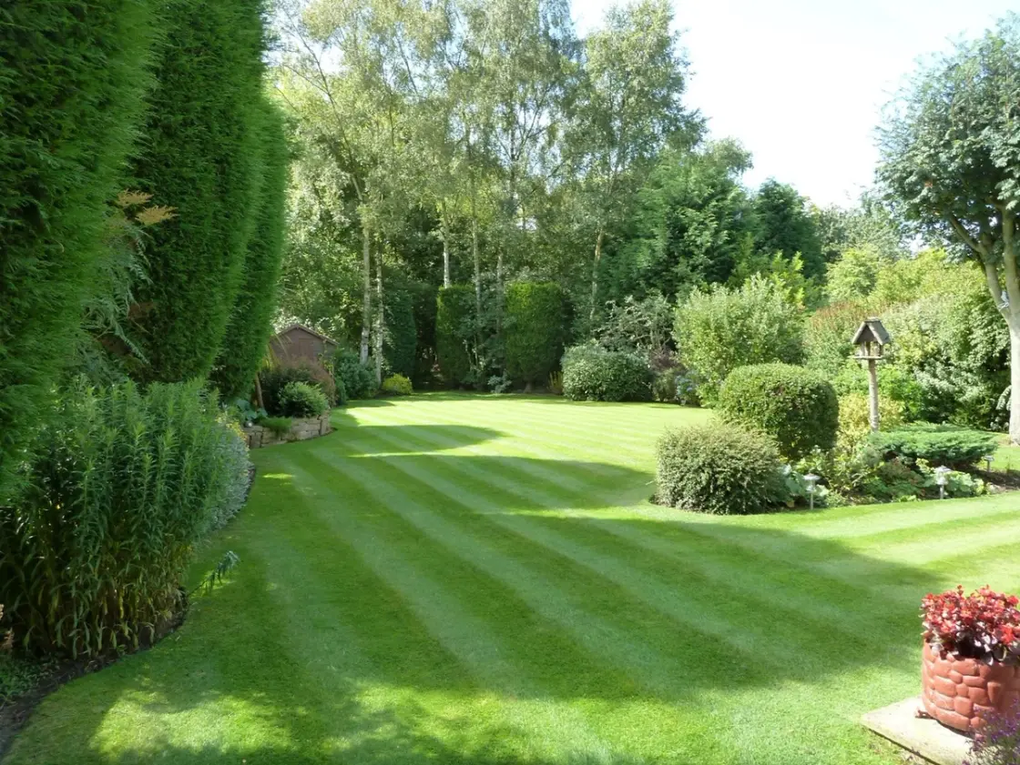 Large lush green lawn with stripes surrounded by shrubs and trees.