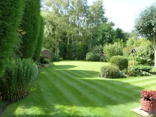 Large lush green lawn with stripes surrounded by shrubs and trees.
