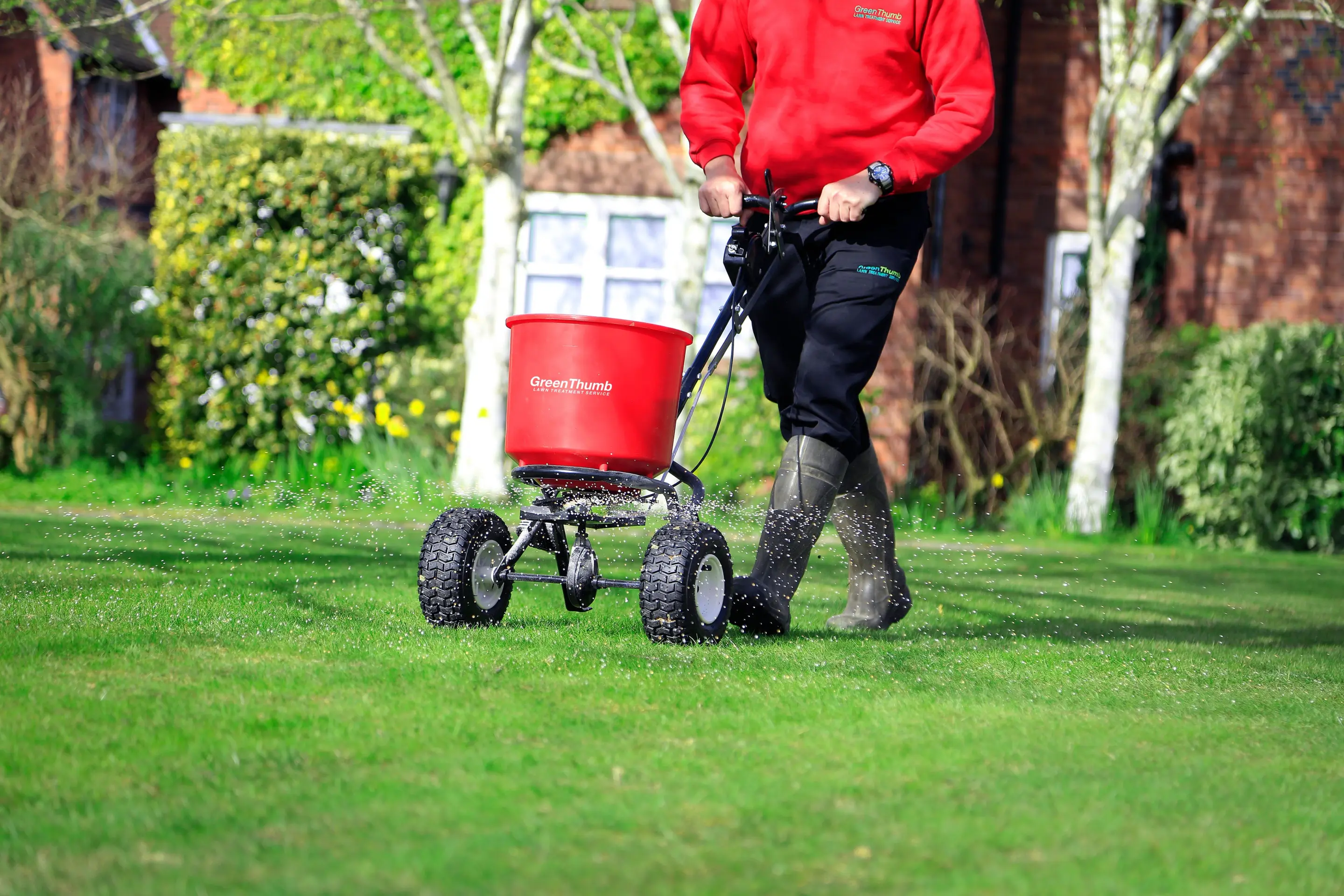 GreenThumb Lawn Operative treating a lawn with fertiliser