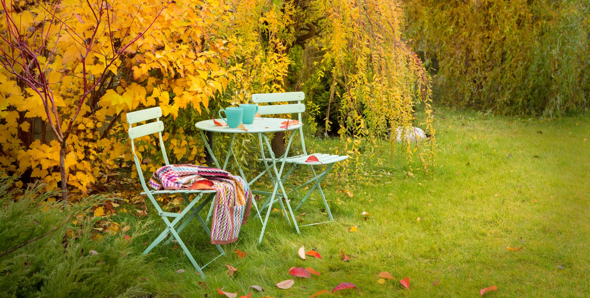 Essential Tips for Planting Trees and Shrubs in Autumn