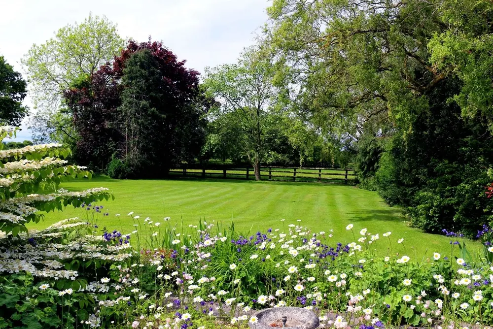 Open lawn with countryside backdrop and wildflower border