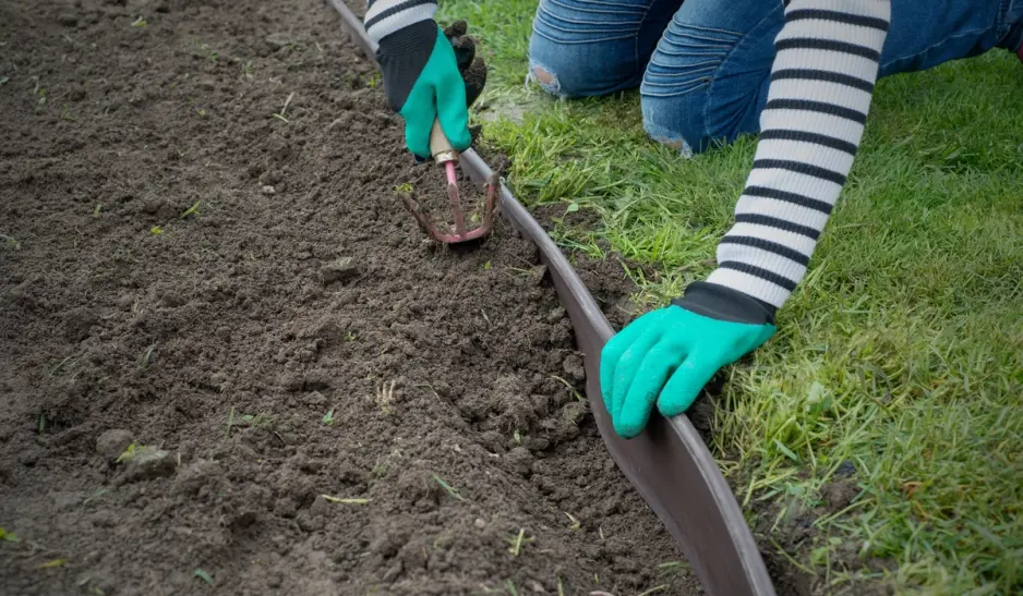lawn edging 
