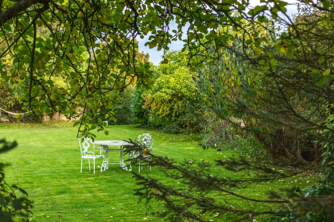 Well-kept lawn with winter trees and garden furniture, showing seasonal lawn care in colder months.