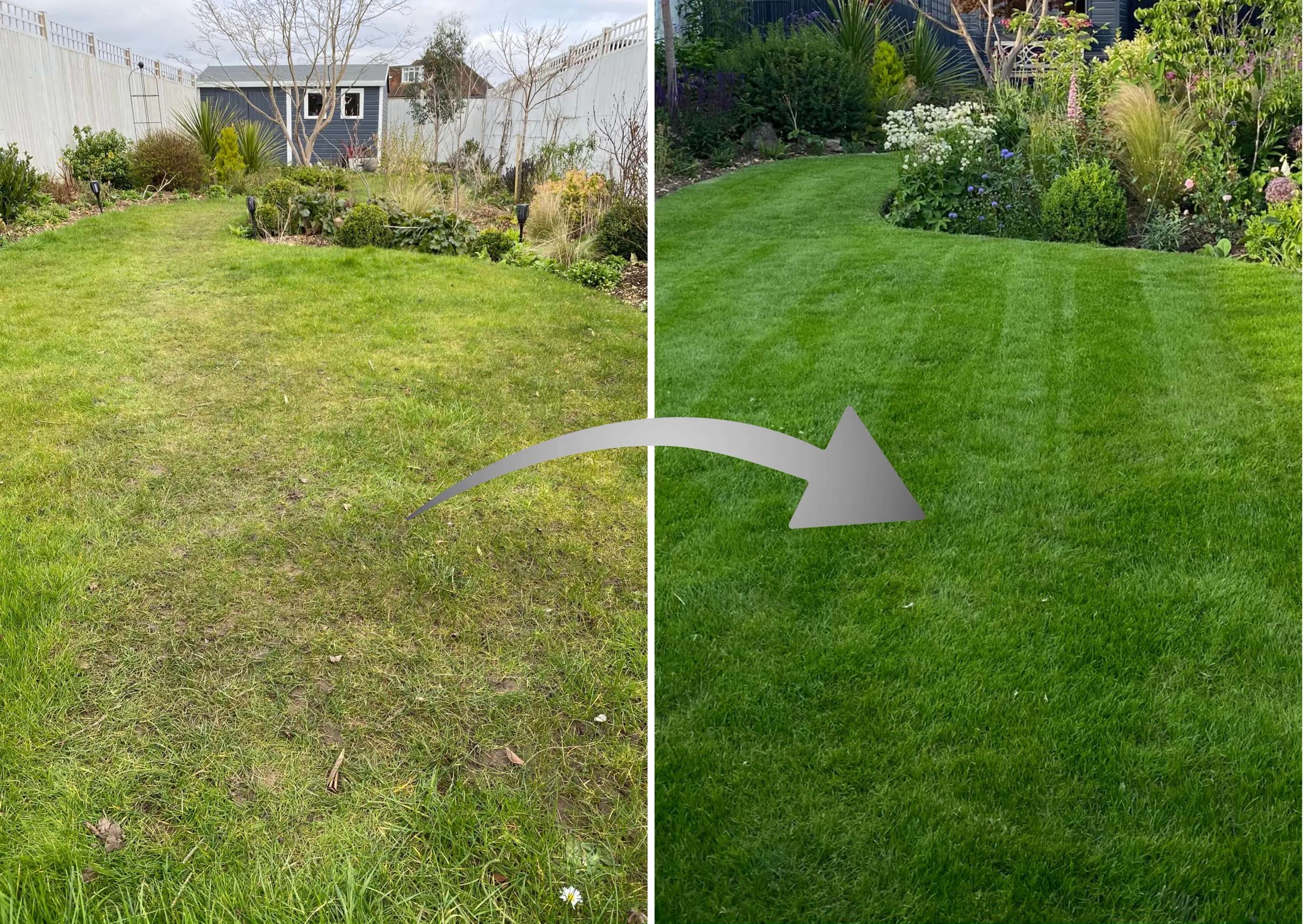 Side-by-side comparison of a lawn before and after GreenThumb’s Lawn Refresh treatment, showing improvement in colour, thickness, and health.
