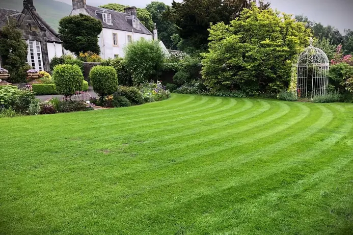 A beautifully striped, well-maintained lawn in front of a traditional cottage garden with neatly trimmed hedges, trees, and a white birdcage-style garden feature.