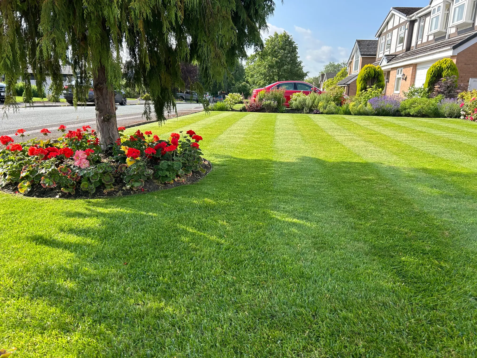 Neatly cut summer grass with a border of bright red blooms.