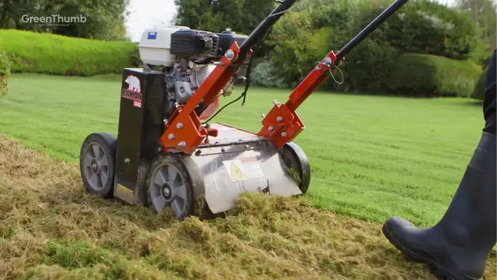 GreenThumb Lawn Operatives scarifying a lawn with thatch