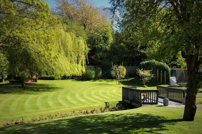 A neatly striped lawn in a sunlit garden with mature trees, manicured hedges, and a wooden deck area overlooking the grass.