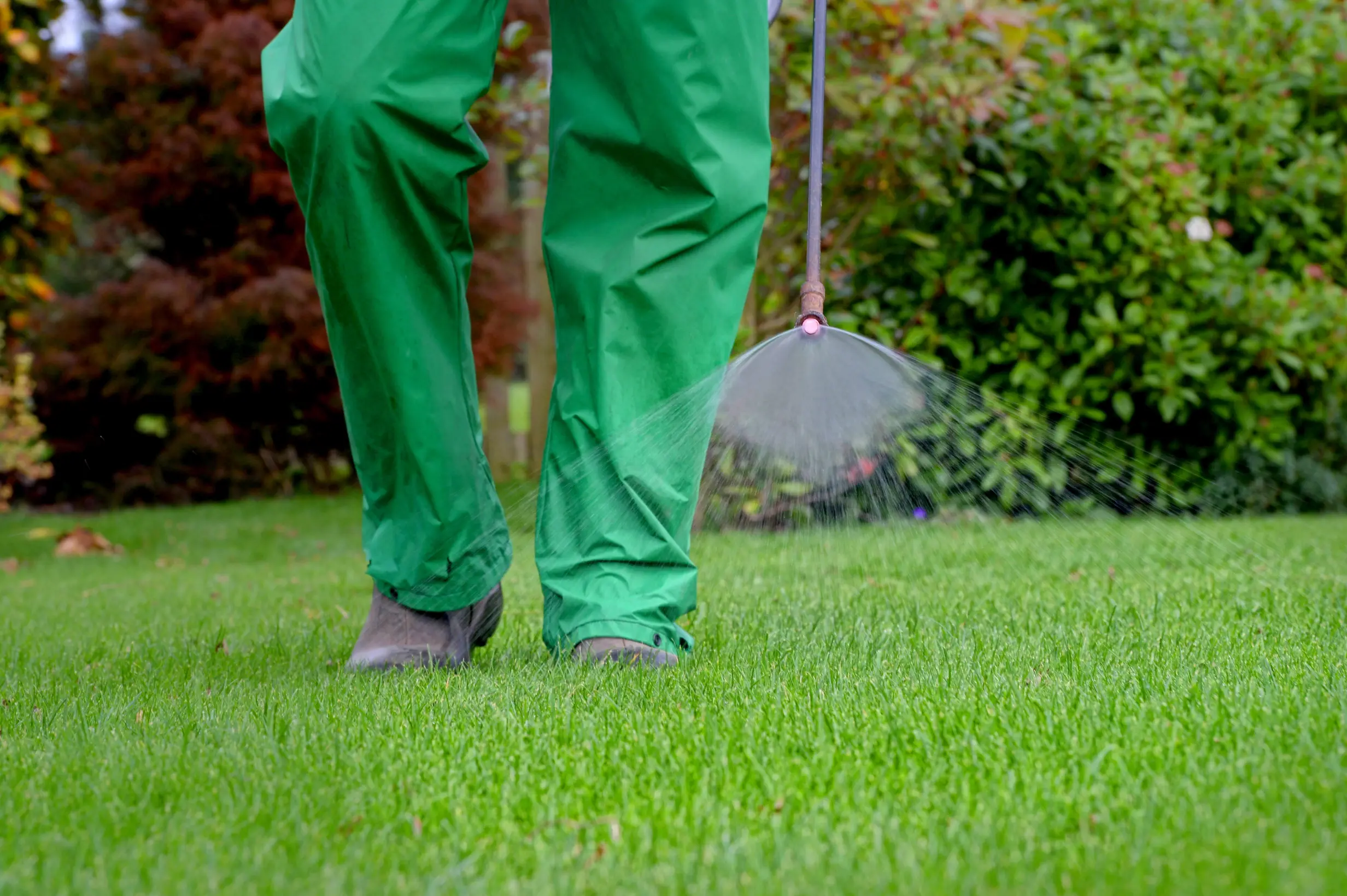 “GreenThumb technician treating a lawn with a professional spray application.