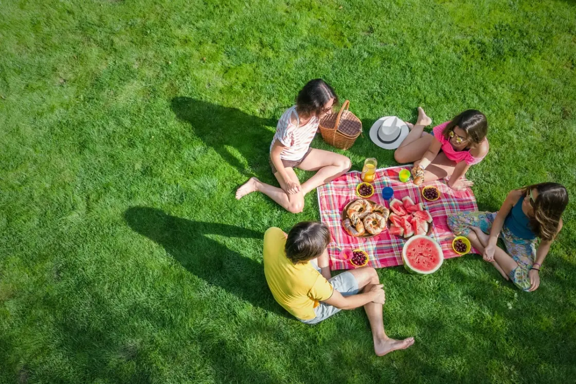 Healthy green lawn in summer after proper mowing and watering, ideal for outdoor family activities