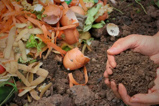 Composting kitchen scraps for nutrient-rich soil as part of sustainable gardening practices.