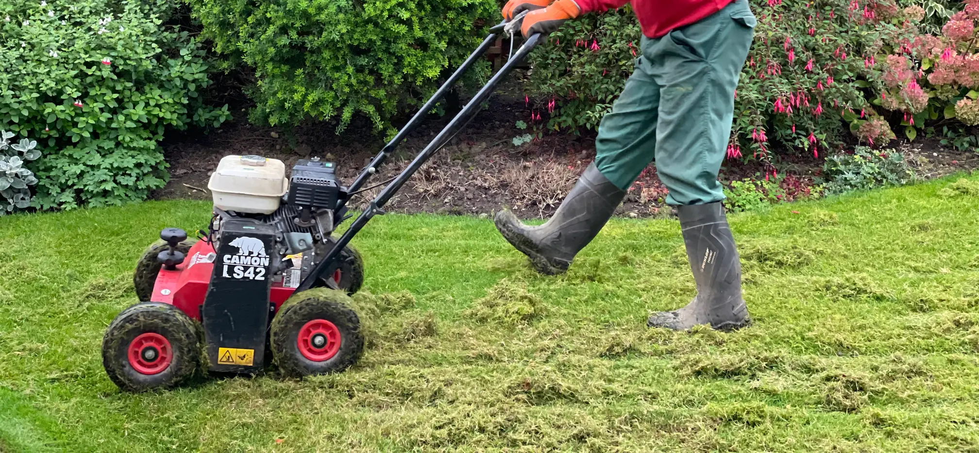 GreenThumb technician performing lawn scarification to clear away thatch