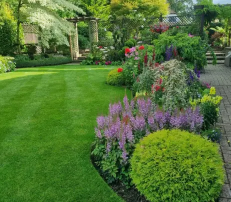 Healthy green lawn maintained during summer heatwave