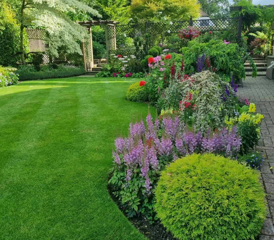 Healthy green lawn maintained during summer heatwave