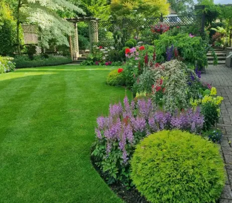 Healthy green lawn maintained during summer heatwave