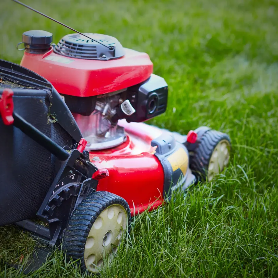 Mowing, Lawn Mowing, Grass, Well maintained lawn