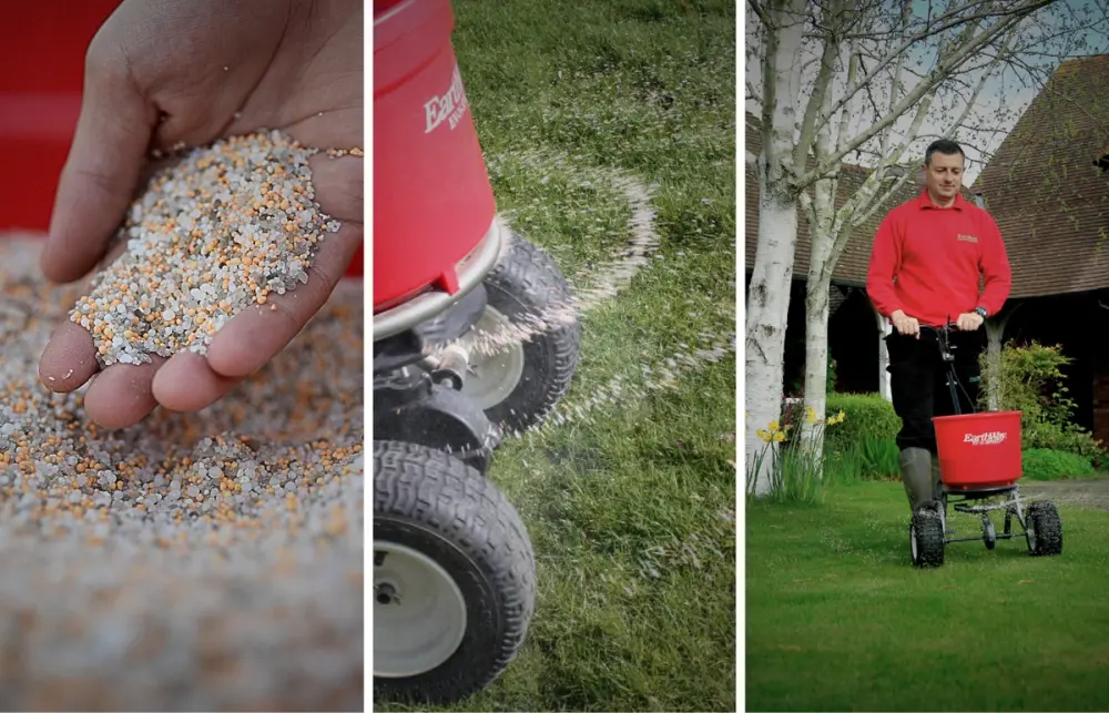 GreenThumb applying professional lawn treatment with a spreader in front of a traditional brick house and garden.