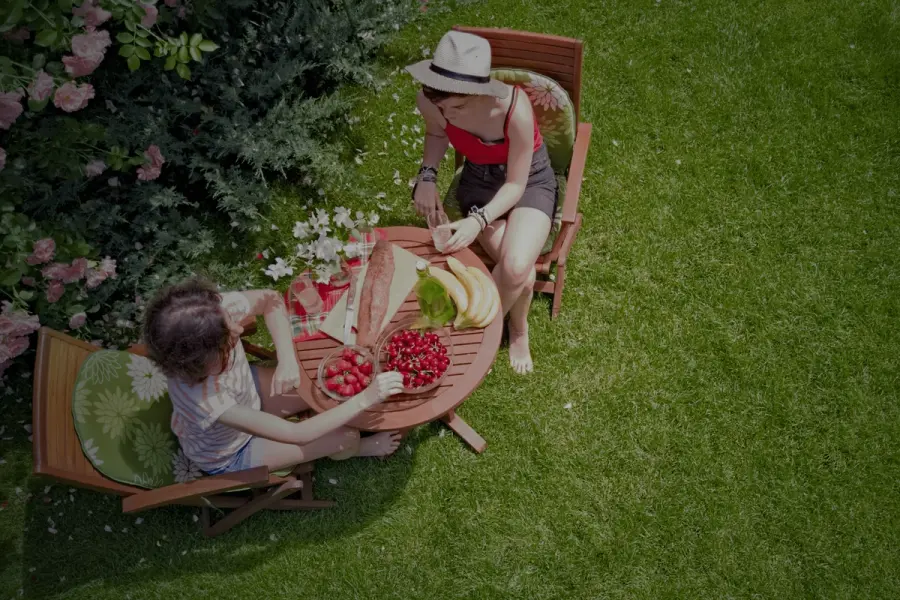 Two people enjoying a summer picnic on a green lawn, surrounded by flowers and sunlight—showcasing a vibrant, healthy garden space.