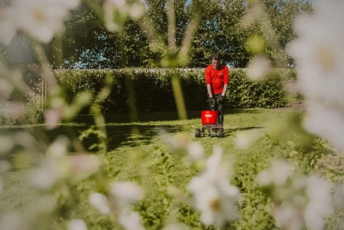 GreenThumb expert lawn care treatment enhancing a lush, green lawn 