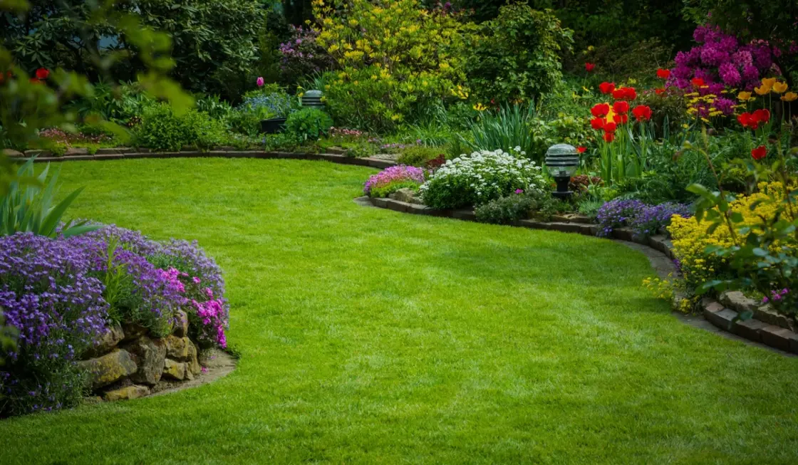 Lush, green lawn thriving with healthy growth, enhanced by Oasis lawn treatment