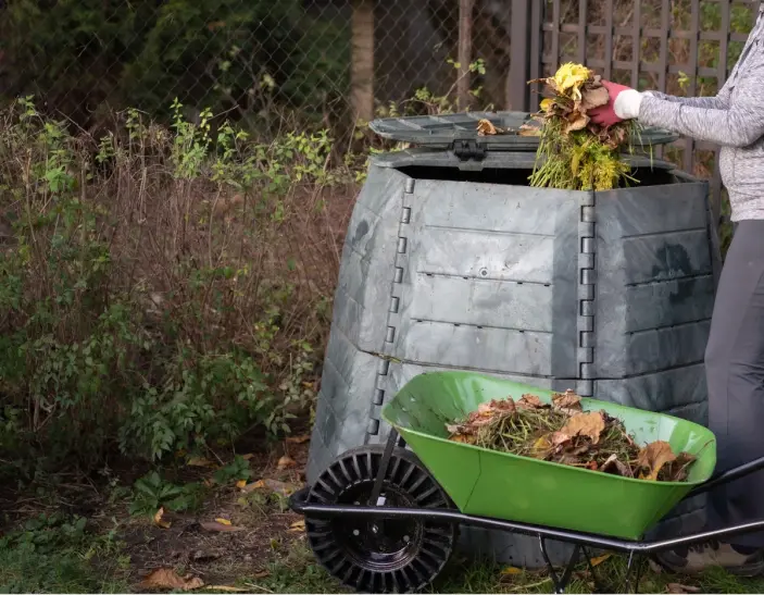 Rich, dark compost made from decomposed autumn leaves in a garden compost bin