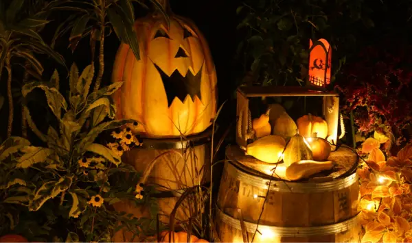 Halloween Garden Ideas. Halloween Lights. Pumpkin Lights