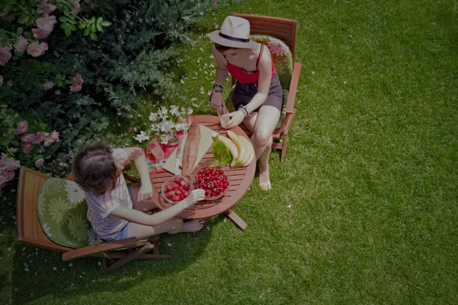 Two people enjoying a summer picnic on a green lawn, surrounded by flowers and sunlight—showcasing a vibrant, healthy garden space.